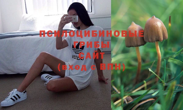 альфа пвп Козельск