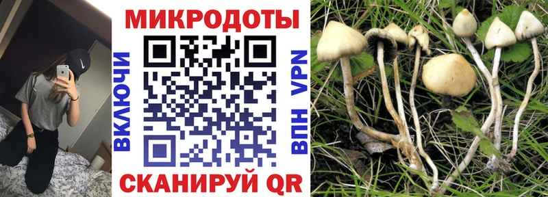 Галлюциногенные грибы Cubensis  Купить  Нефтекумск 